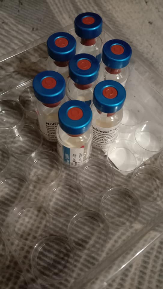https://braveprodapi.dev-onfire.work/storage/media_library/viktoria_kruchina/26032024/433967608-7371943986205012-5494662475062368043-n-1711653238aeGxh.jpg?id=4708