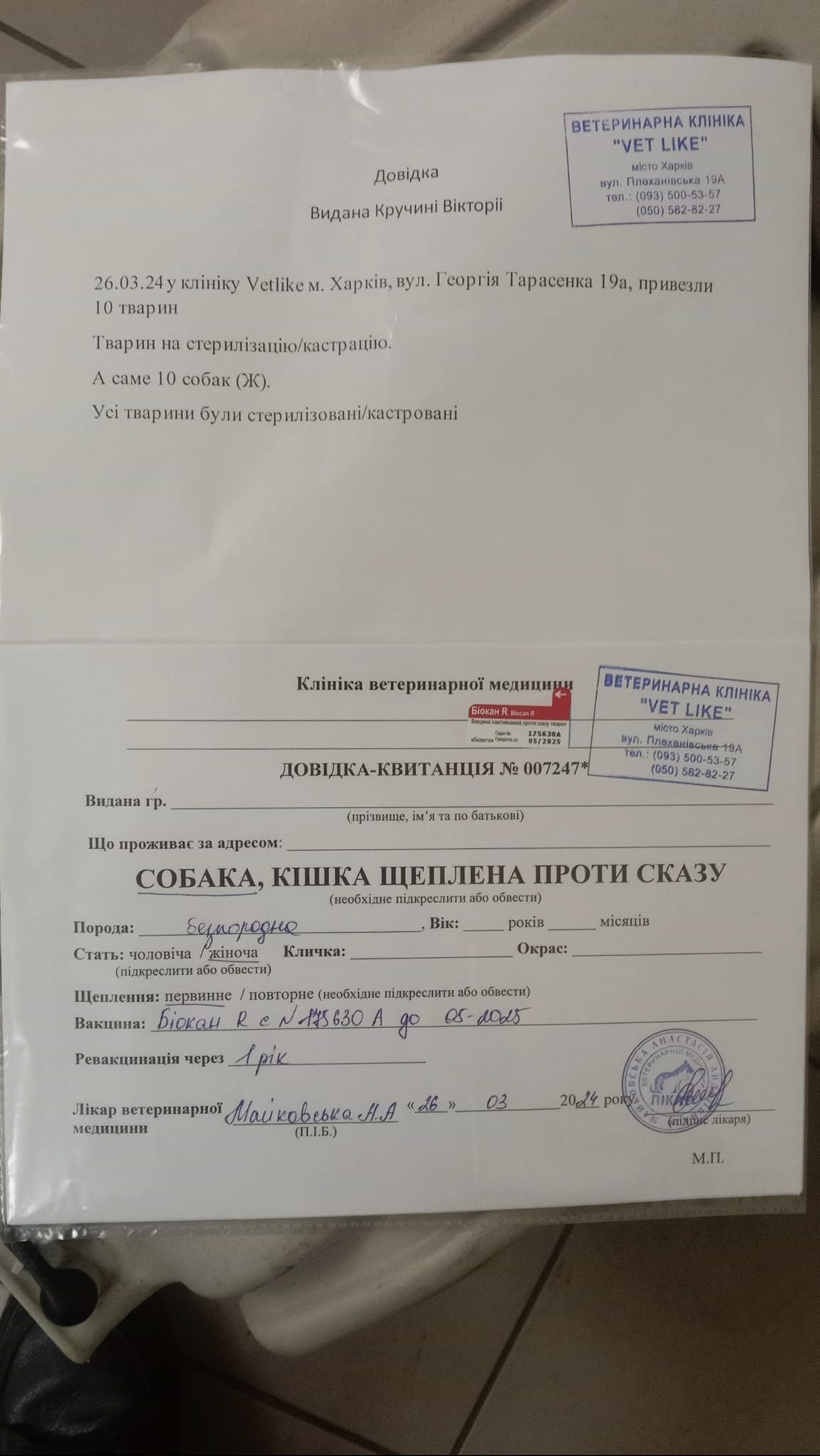 https://braveprodapi.dev-onfire.work/storage/media_library/viktoria_kruchina/26032024/kvit-vet-1711730080G7ZKS.jpg?id=4746